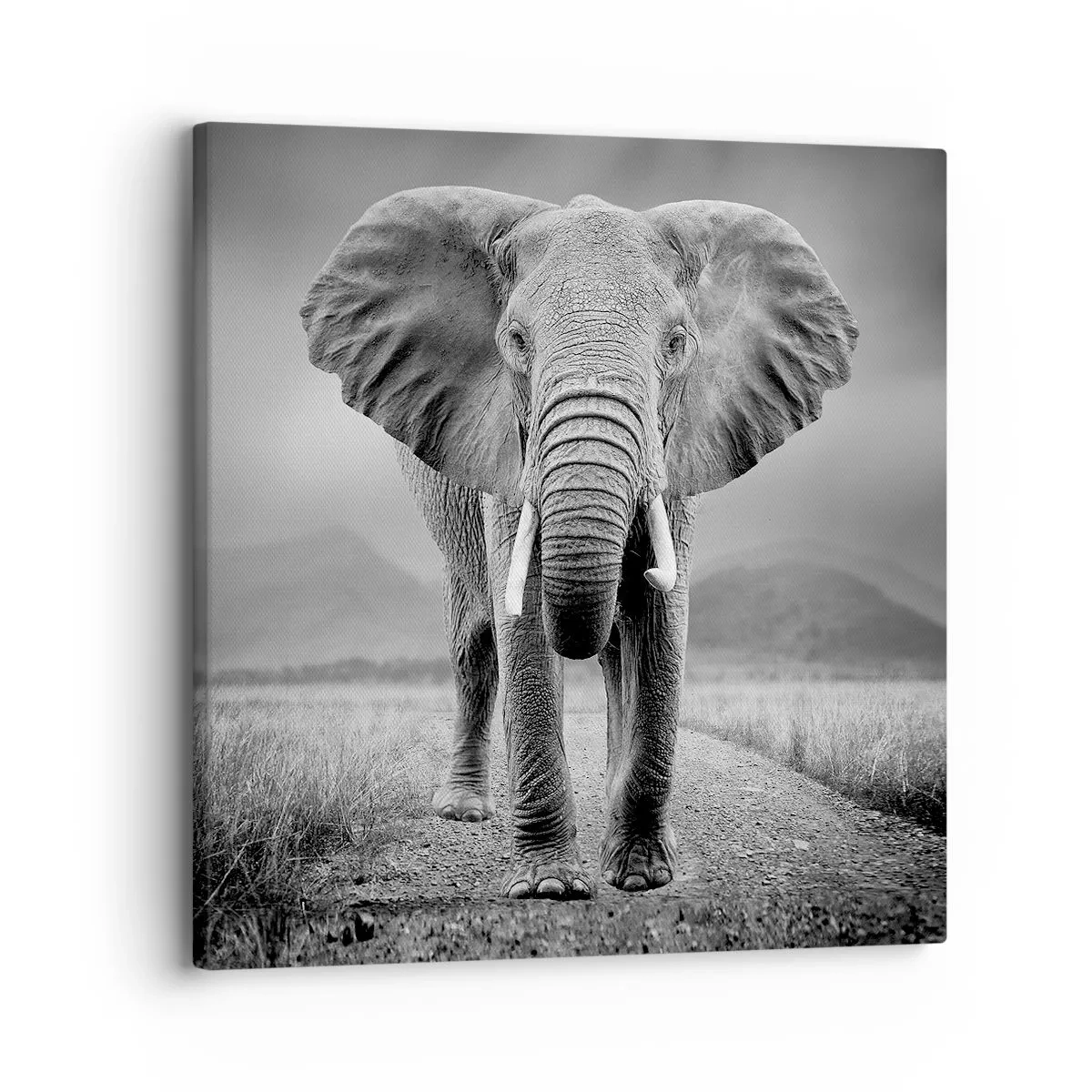 Lærredstryk - Billede på lærred - Værten byder velkommen til - 30x30 cm