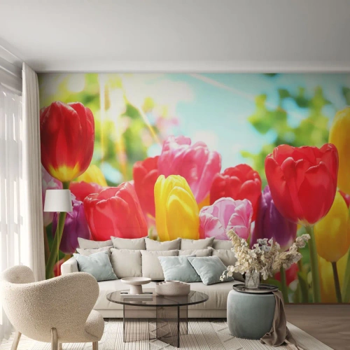 Fototapet på mål Premium Sand - Det er os, maj måneds farver! - Blomster, Tulipaner, Have