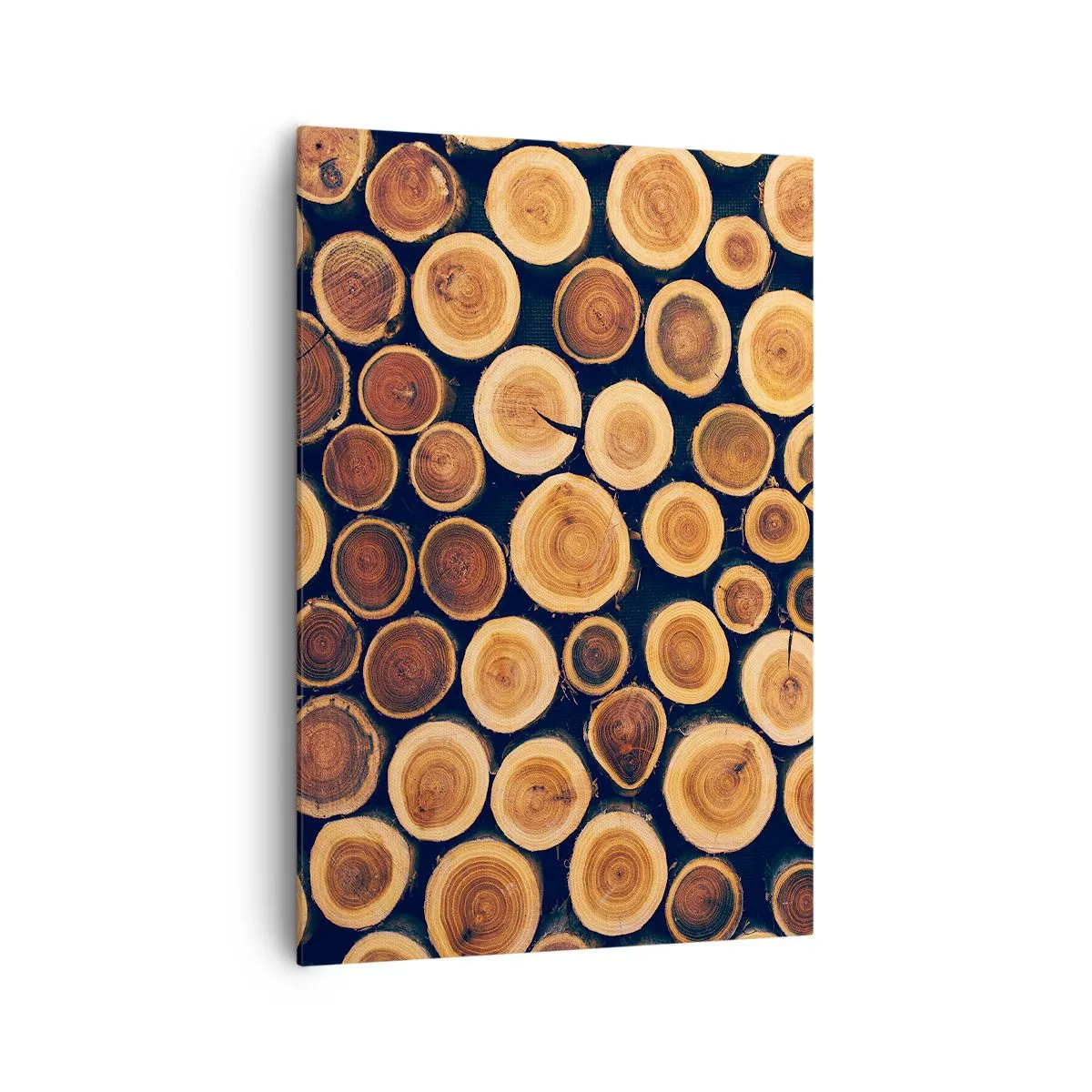 Lærredstryk - Billede på lærred - Hvor gammel ser jeg ud? - 70x100 cm