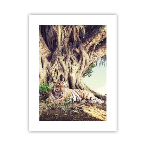 Plakat - Udsigt fra Første Mosebog - 30x40 cm