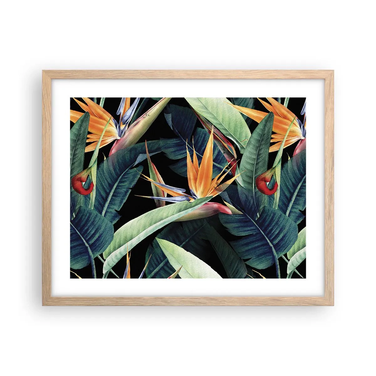 Plakat i ramme af lyst egetræ - Flammeblomster i troperne - 50x40 cm