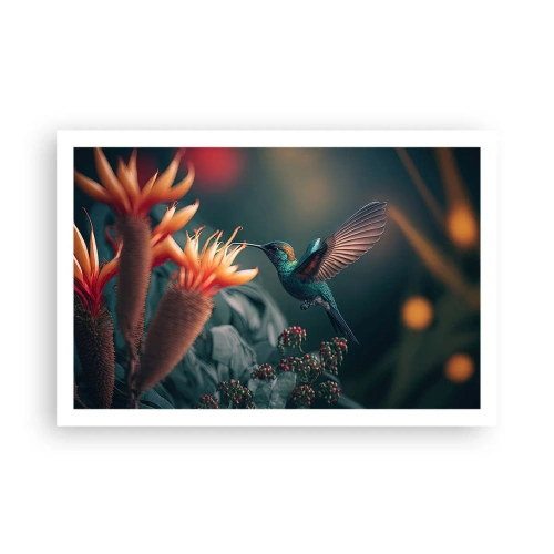 Plakat - Et virkelig farverigt liv - 91x61 cm