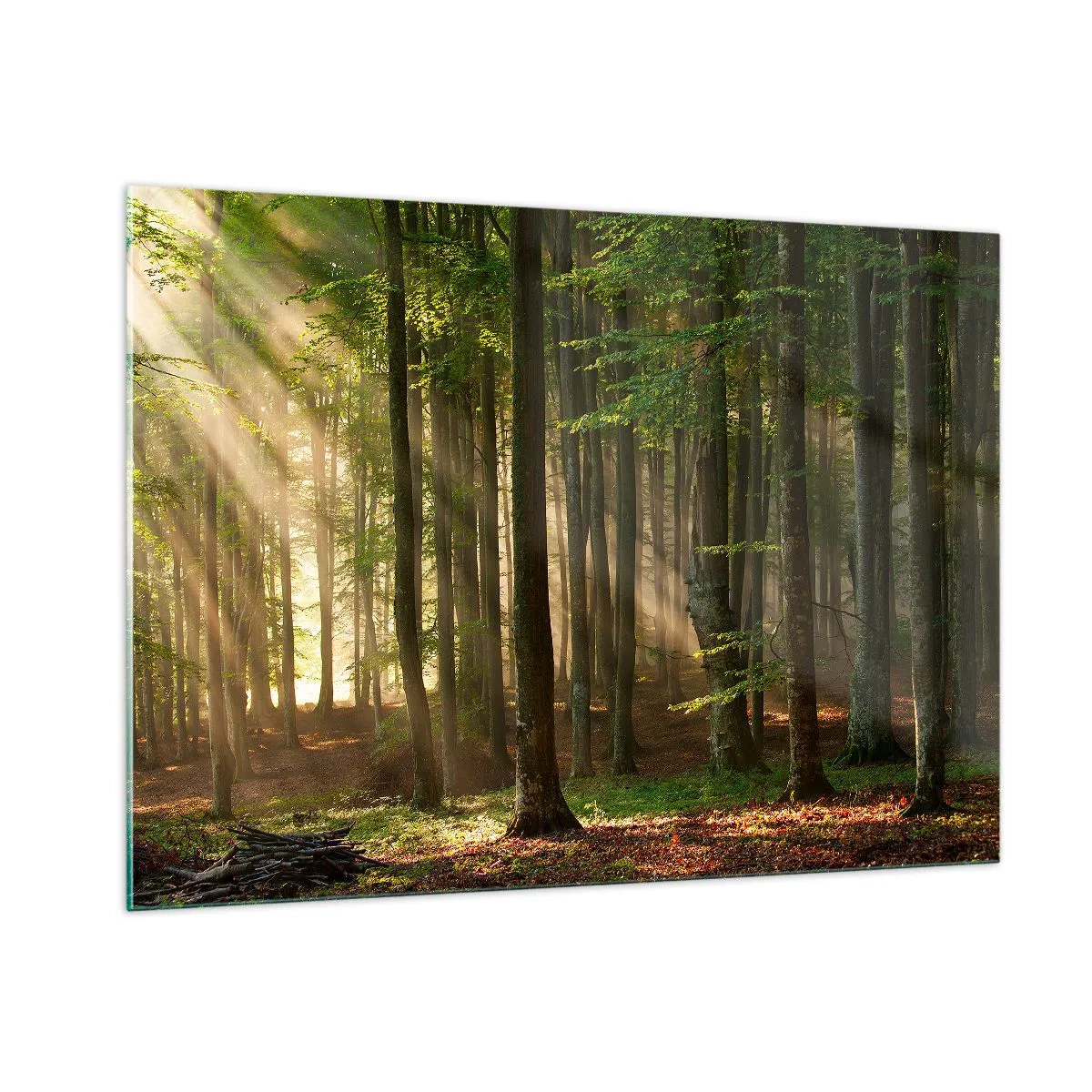 Billede på glas - Strålende på en forårsmorgen - 100x70 cm