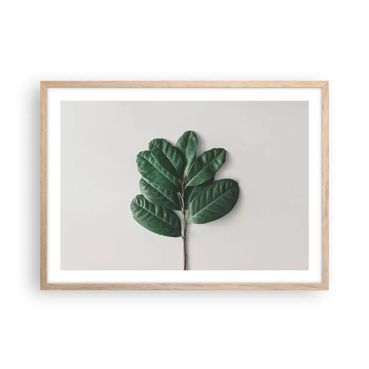 Plakat i ramme af lyst egetræ - Tegning af selve naturen - 70x50 cm