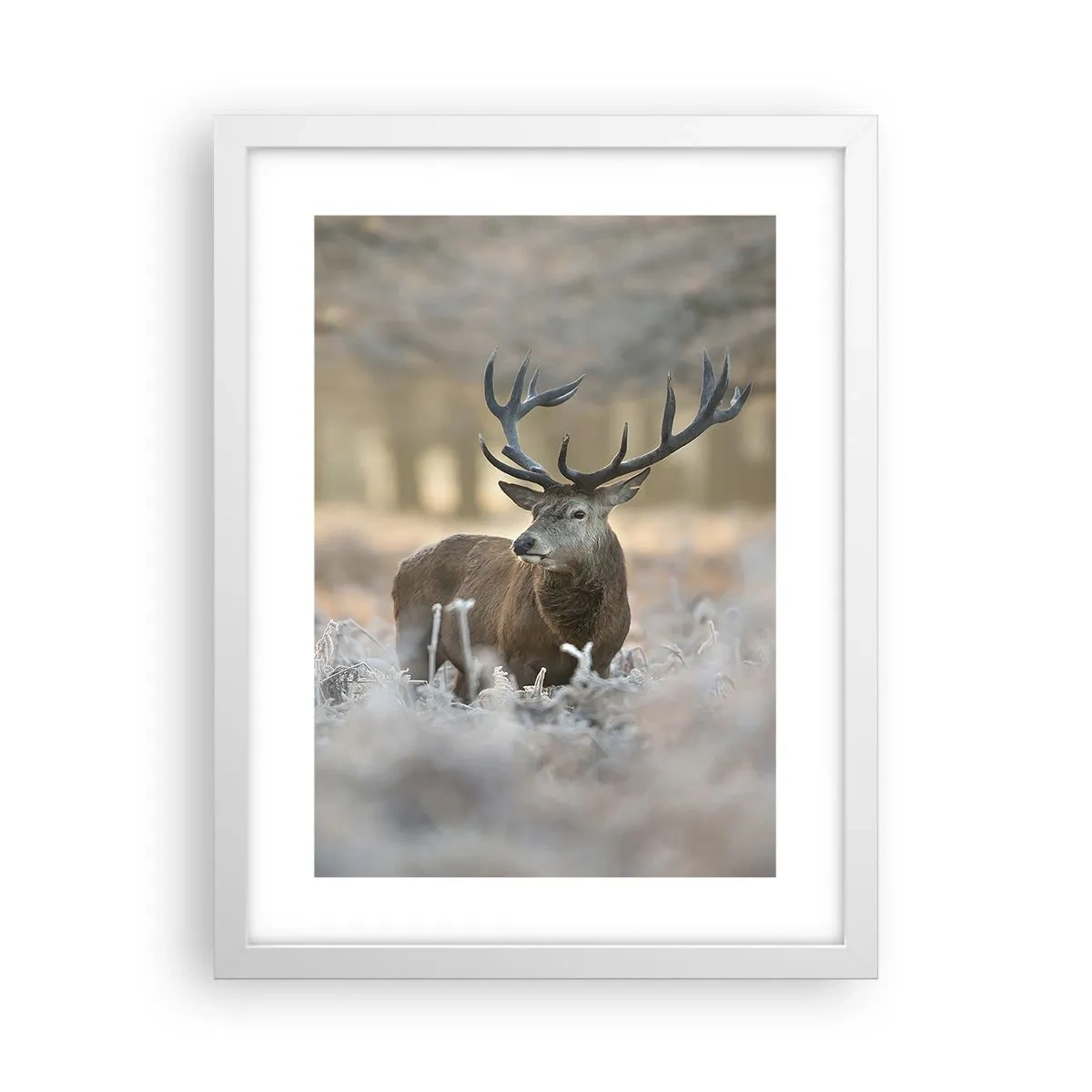 Plakat i hvid ramme - En frisk morgen - 30x40 cm