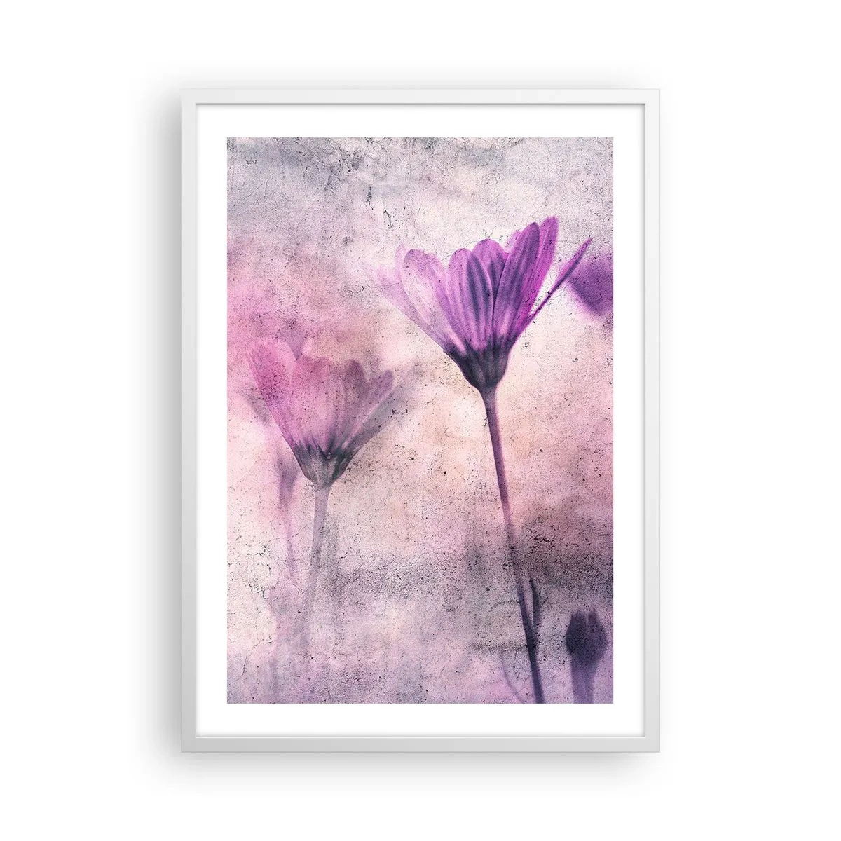 Plakat i hvid ramme - En drøm af blomster - 50x70 cm