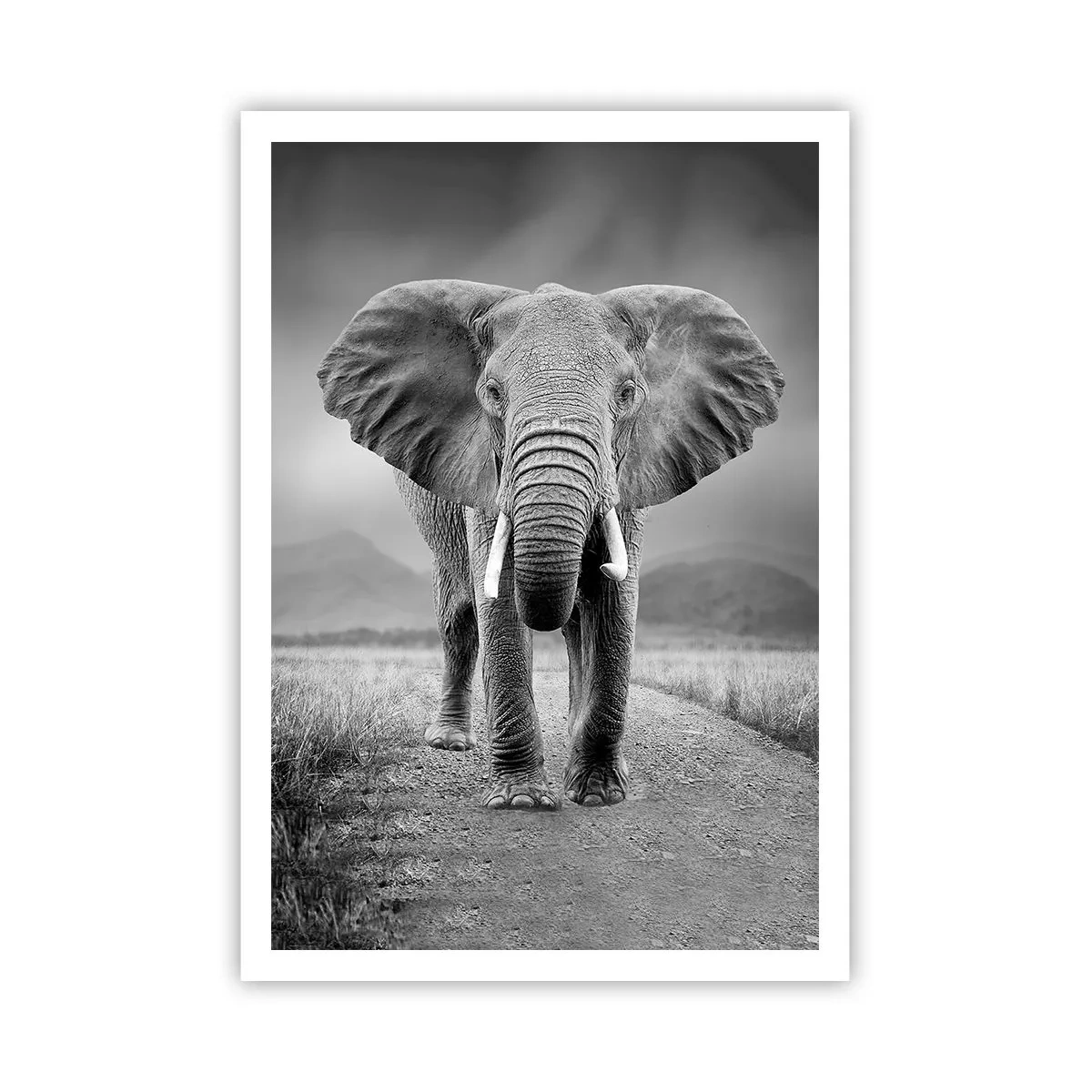 Plakat - Værten byder velkommen til - 70x100 cm