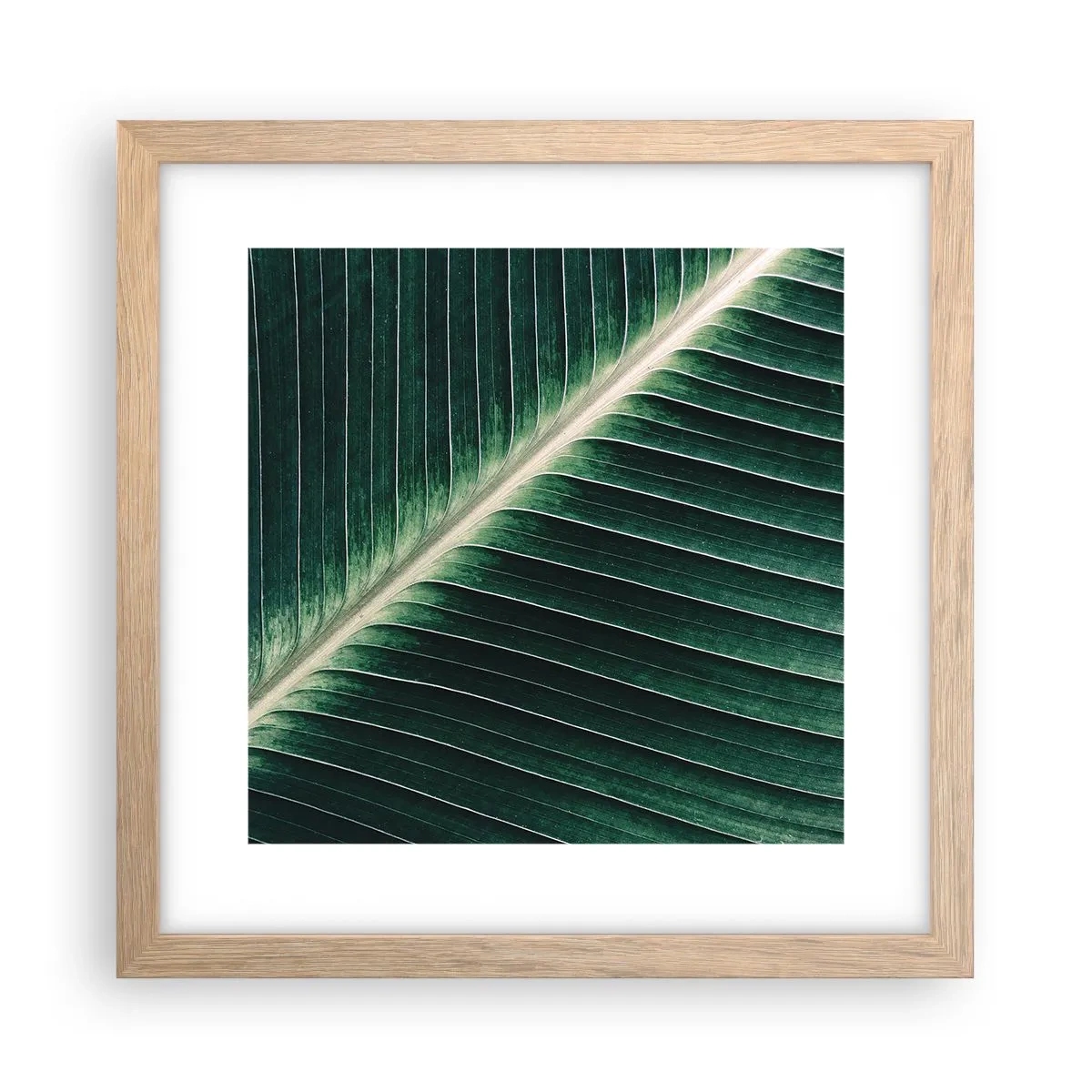 Plakat i ramme af lyst egetræ - Naturens rytme - 30x30 cm