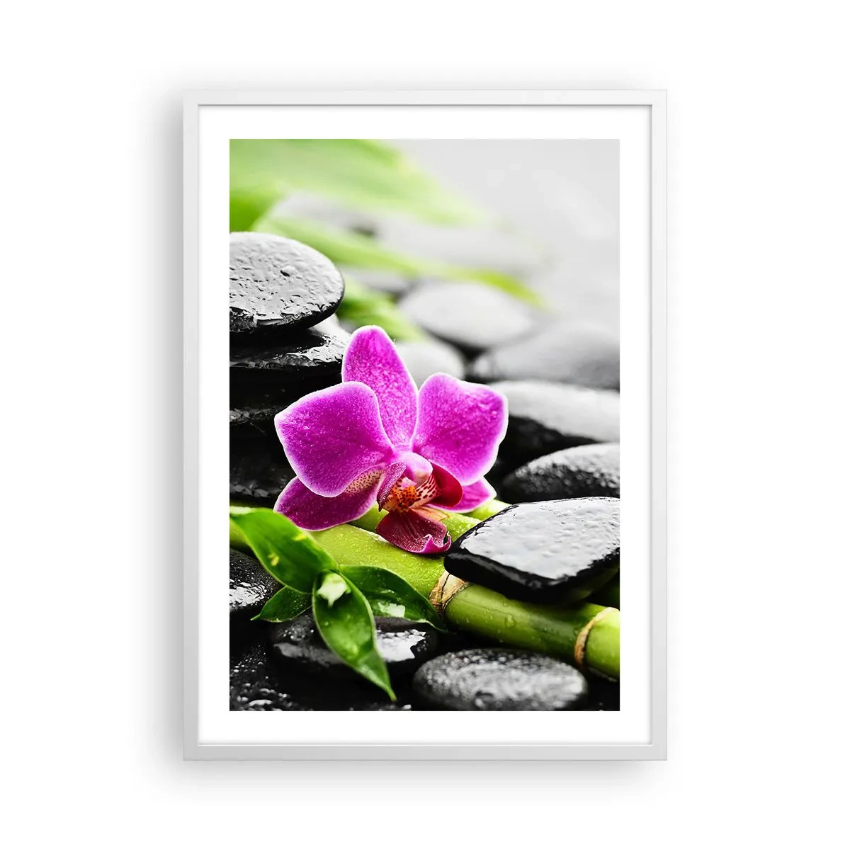 Plakat i hvid ramme - I en fredelig balance - 50x70 cm