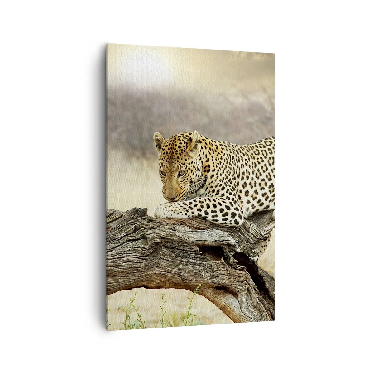 Lærredstryk - Billede på lærred - Jeg går min egen vej - 80x120 cm