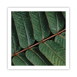 Plakat - I en grøn rytme - 60x60 cm
