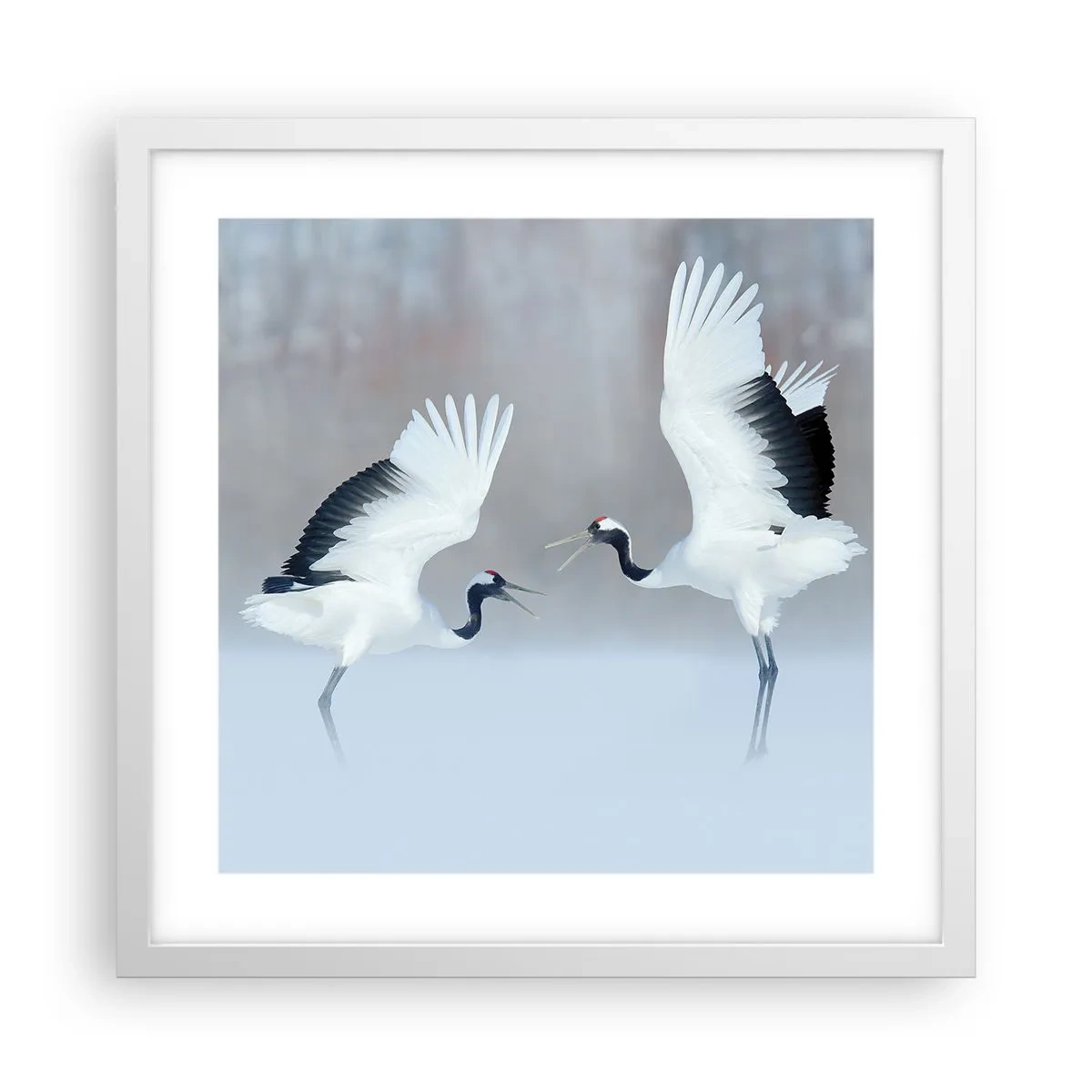 Plakat i hvid ramme - Danser i tågen - 40x40 cm