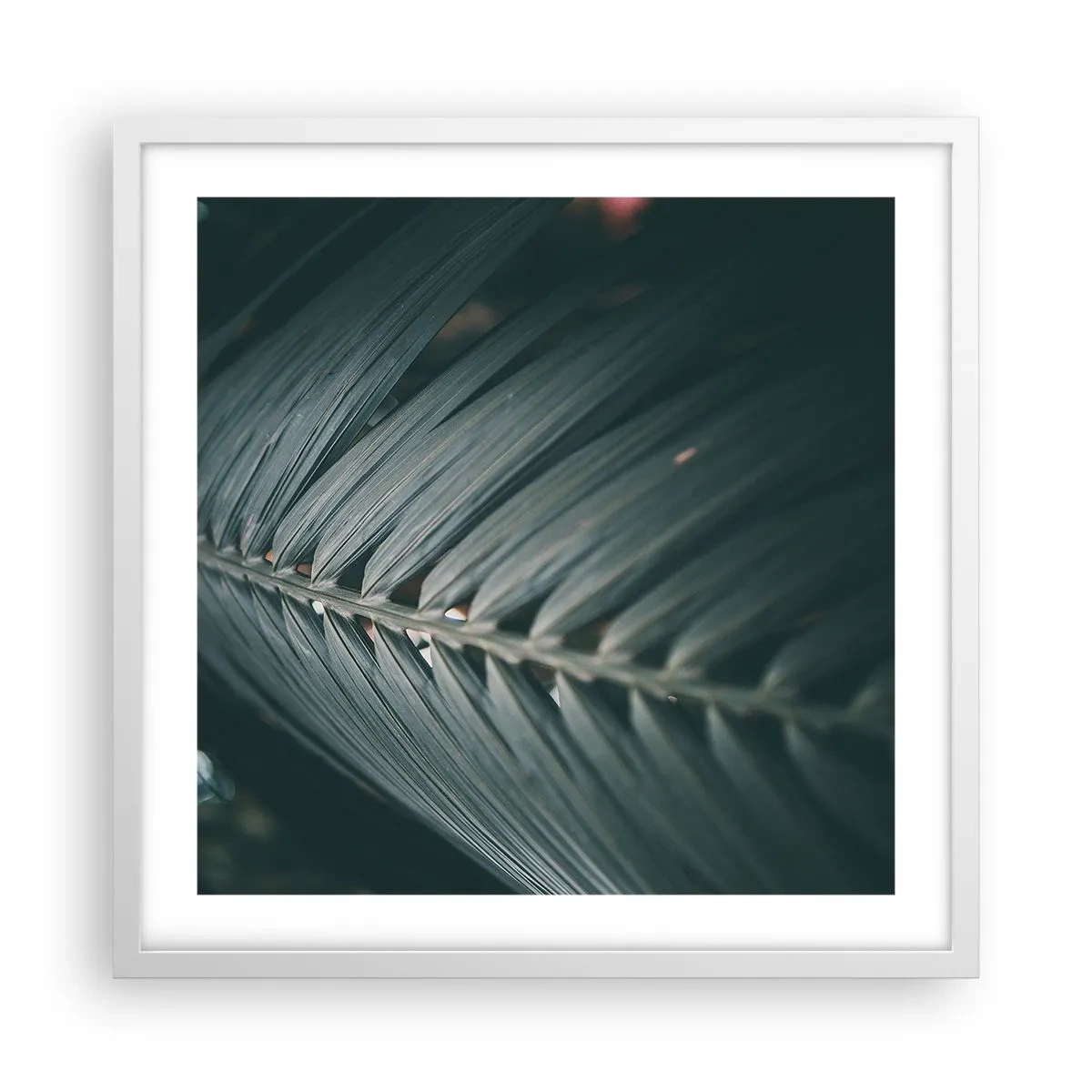 Plakat i hvid ramme - Naturens præcision - 50x50 cm