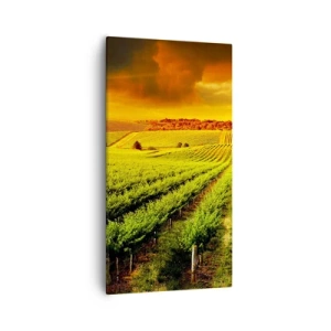 Lærredstryk - Billede på lærred - Under den australske sol - 55x100 cm