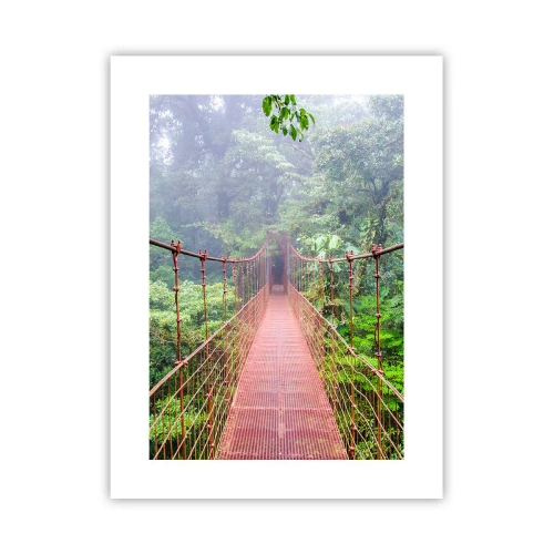 Plakat - Ophængt over kronerne - 30x40 cm