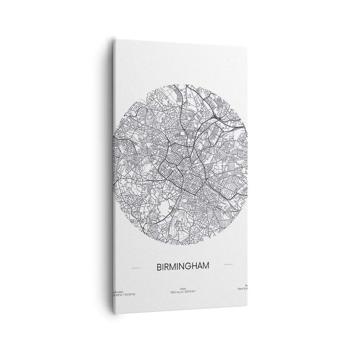 Lærredstryk - Billede på lærred - Birminghams anatomi - 55x100 cm