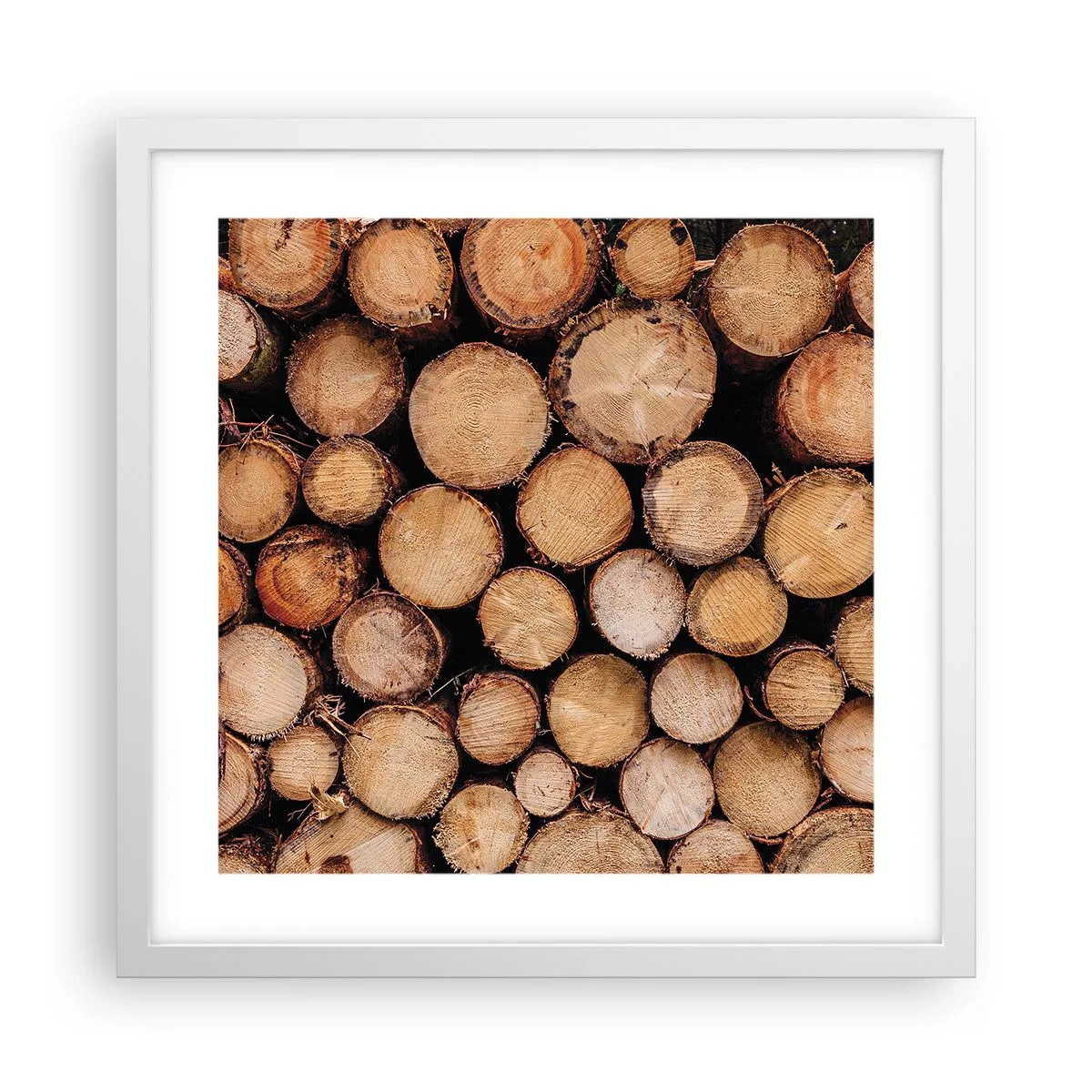 Plakat i hvid ramme - En ny begyndelse - 40x40 cm