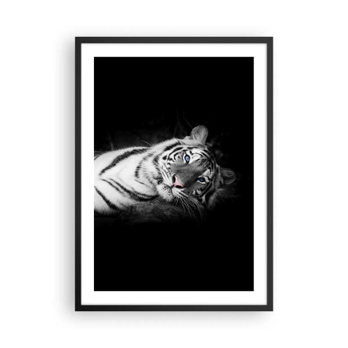 Plakat i sort ramme - En hvid tiger i et kontrasterende billede mod en sort baggrund - 50x70cm - Vildskab og fred - Moderne vægdekoration til stue og soveværelse ARTTOR