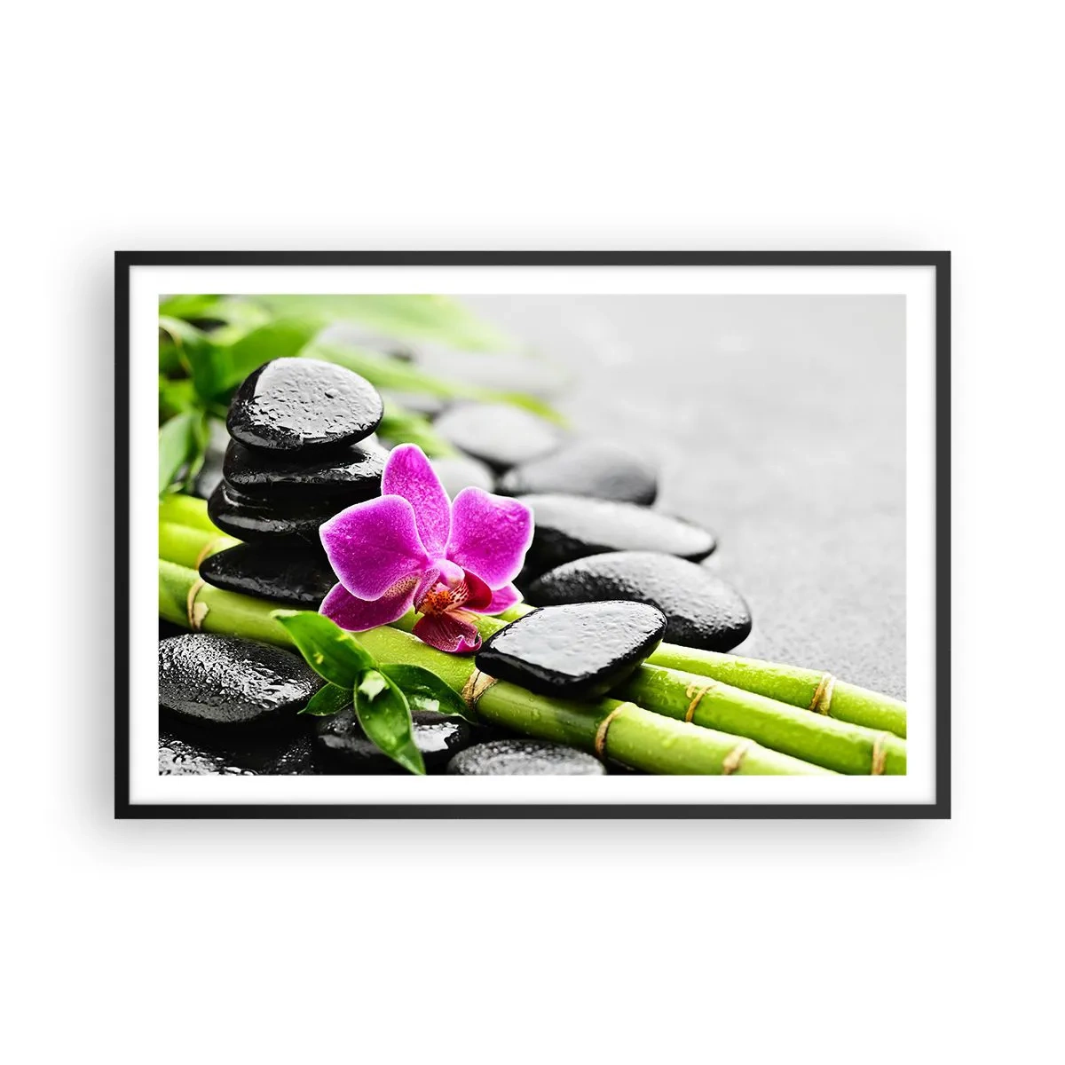 Plakat i sort ramme - I en fredelig balance - 91x61 cm