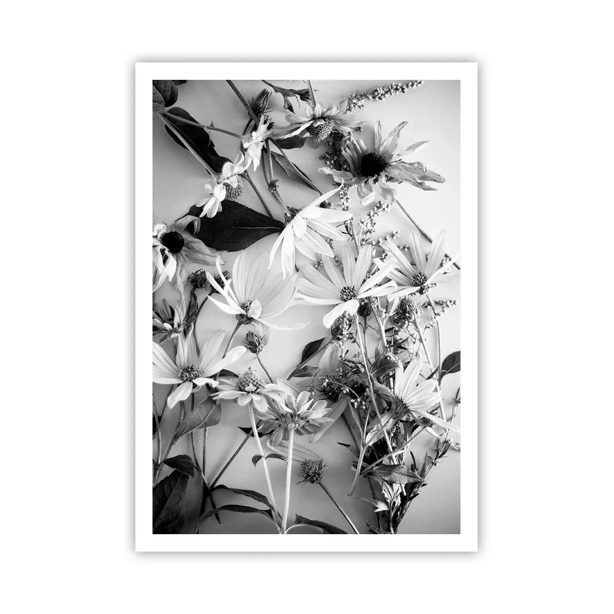 Plakat - Blomster uden buket - 70x100 cm