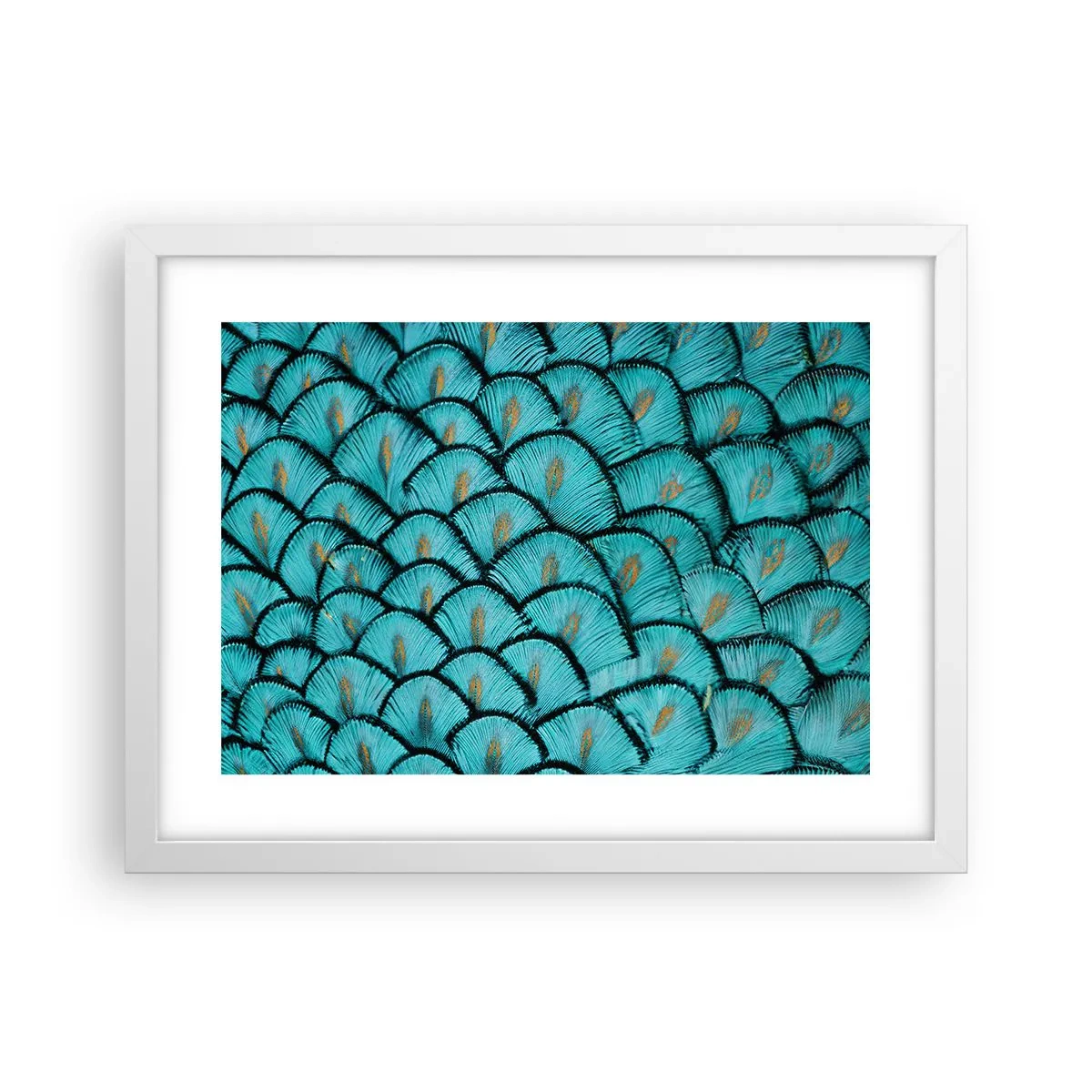 Plakat i hvid ramme - Den store fjer-galla - 40x30 cm