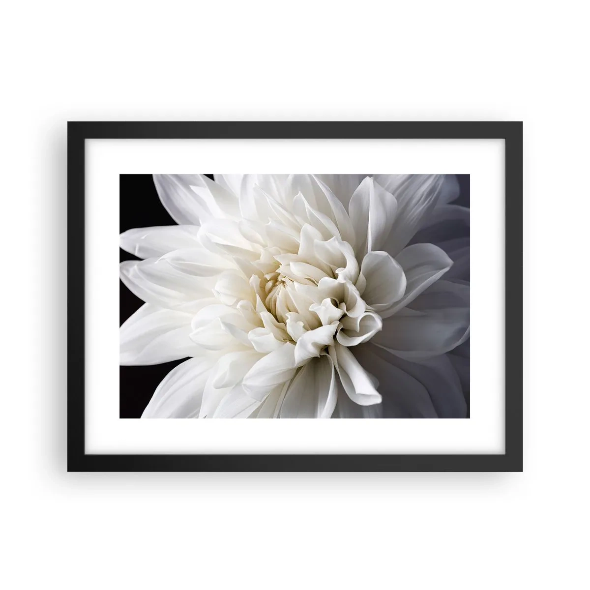Plakat i sort ramme - Morgenbrud - 40x30 cm