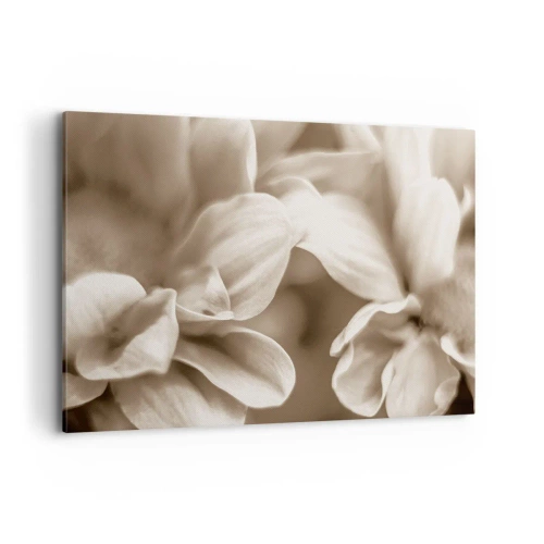 Lærredstryk - Billede på lærred - Blid som et smil - 100x70 cm