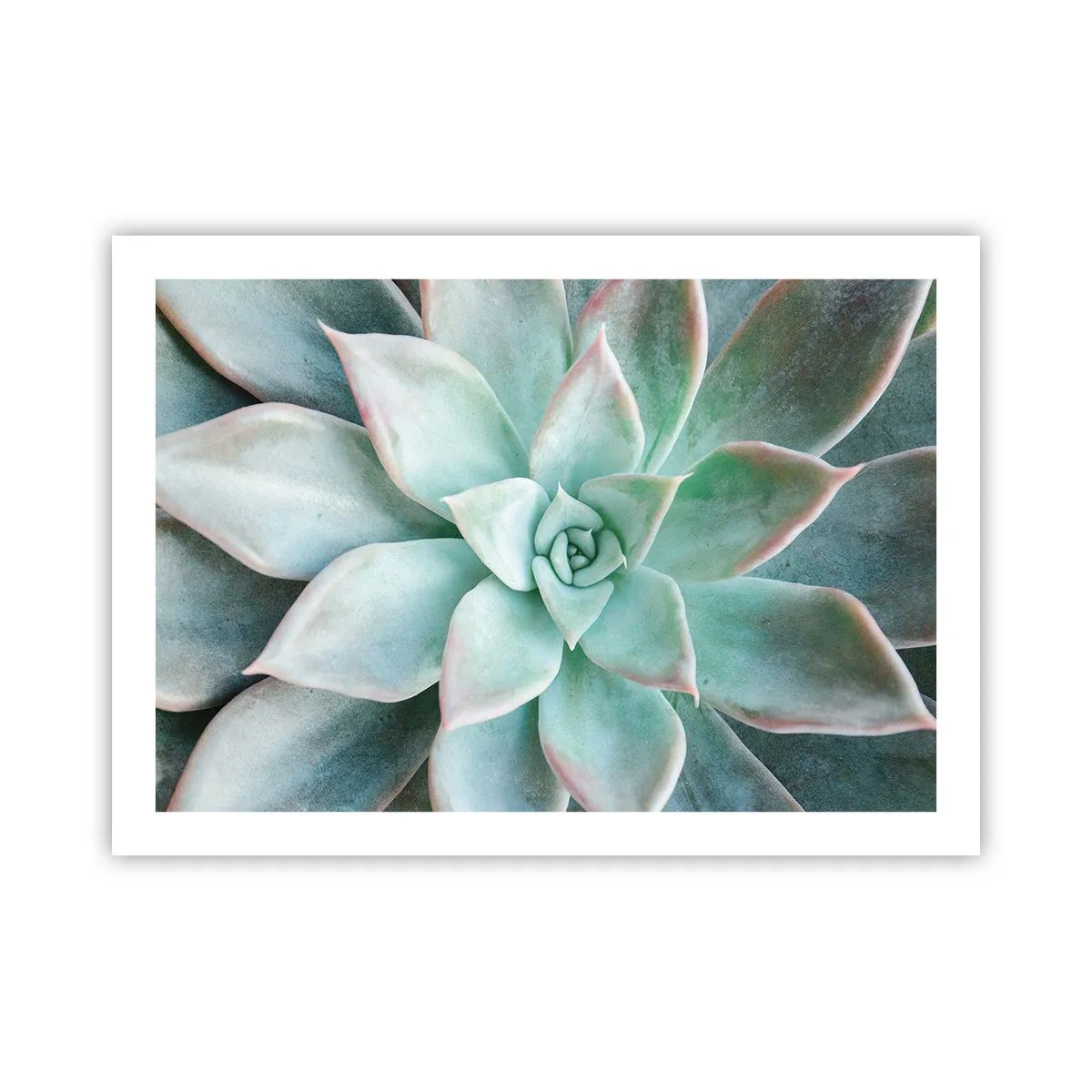 Plakat - Hjertet af ørkenen - 70x50 cm