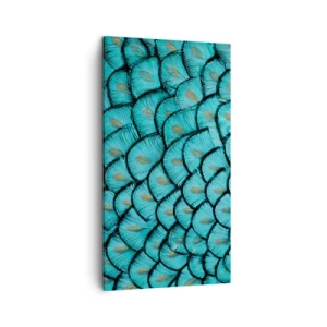 Lærredstryk - Billede på lærred - Den store fjer-galla - 45x80 cm