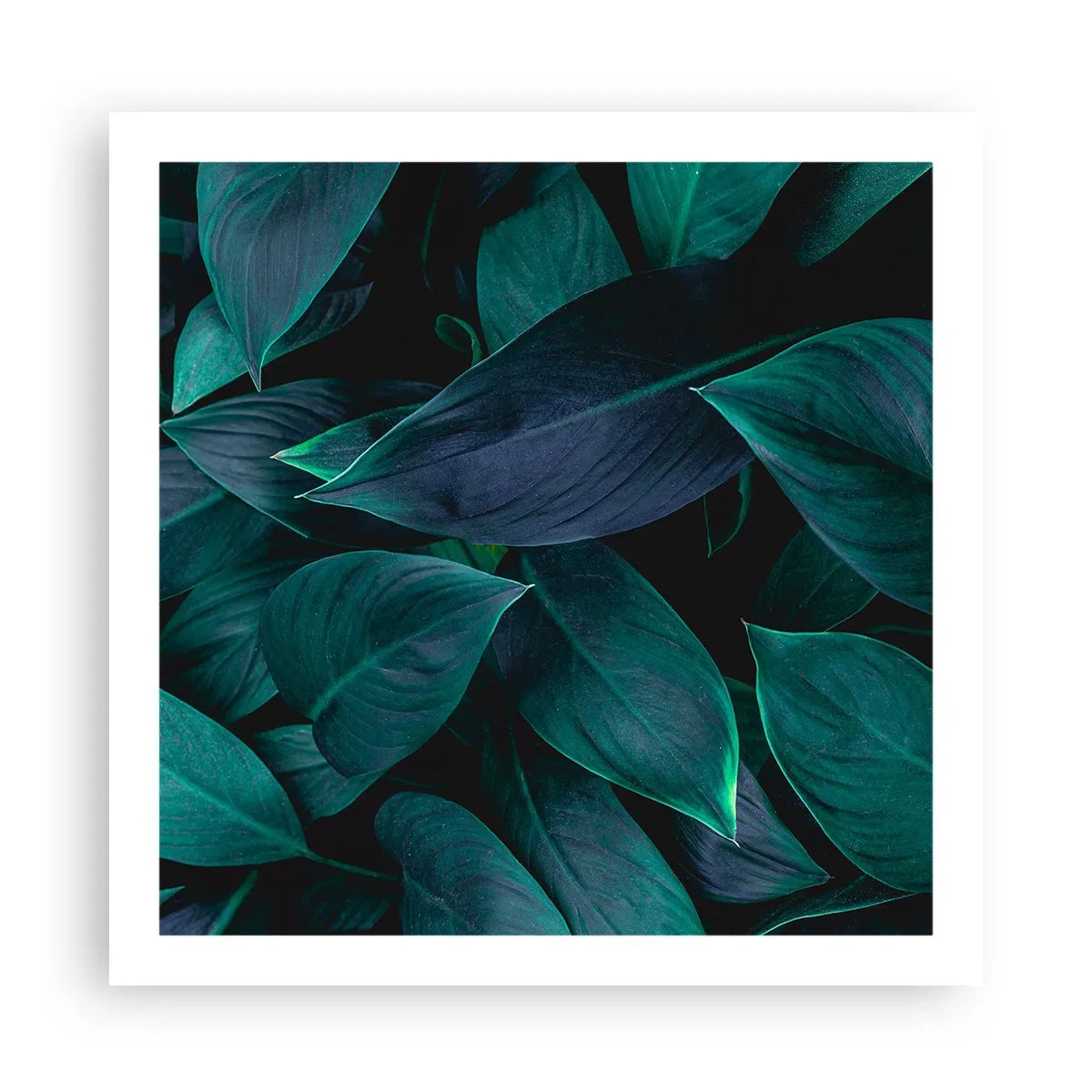 Plakat - Grønt i sig selv - 60x60 cm