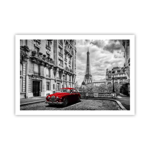 Plakat - Rovdyr i byen - 91x61 cm