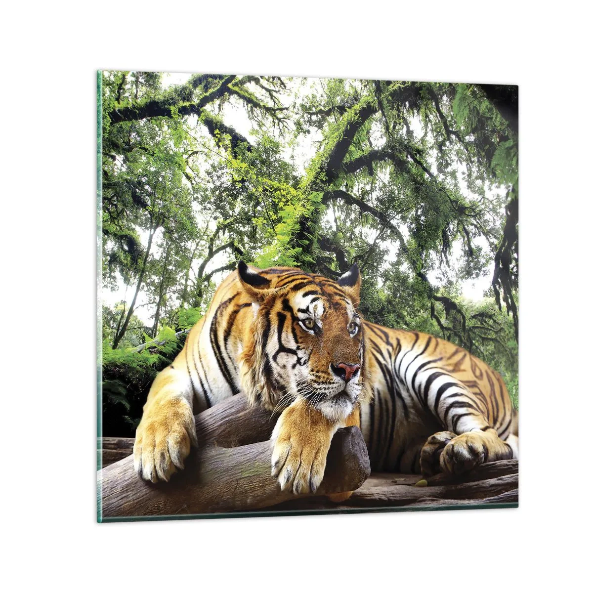 Billede på glas - Med venlig hilsen - 40x40 cm