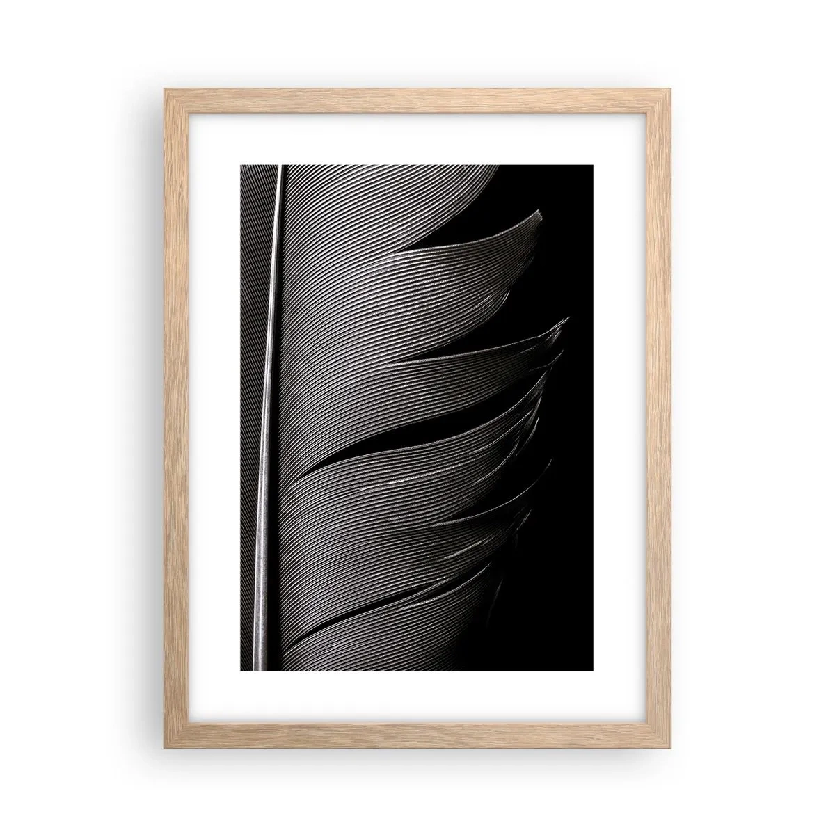 Plakat i ramme af lyst egetræ - Fjer - en vidunderlig konstruktion - 30x40 cm