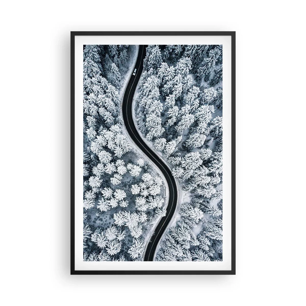 Plakat i sort ramme - Gennem en vinterskov - 61x91 cm