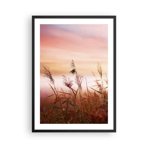 Plakat i sort ramme - Græs mod en farverig himmel ved solnedgang - 50x70cm - Drager, blæsere, vind - Moderne vægdekoration til stue og soveværelse ARTTOR