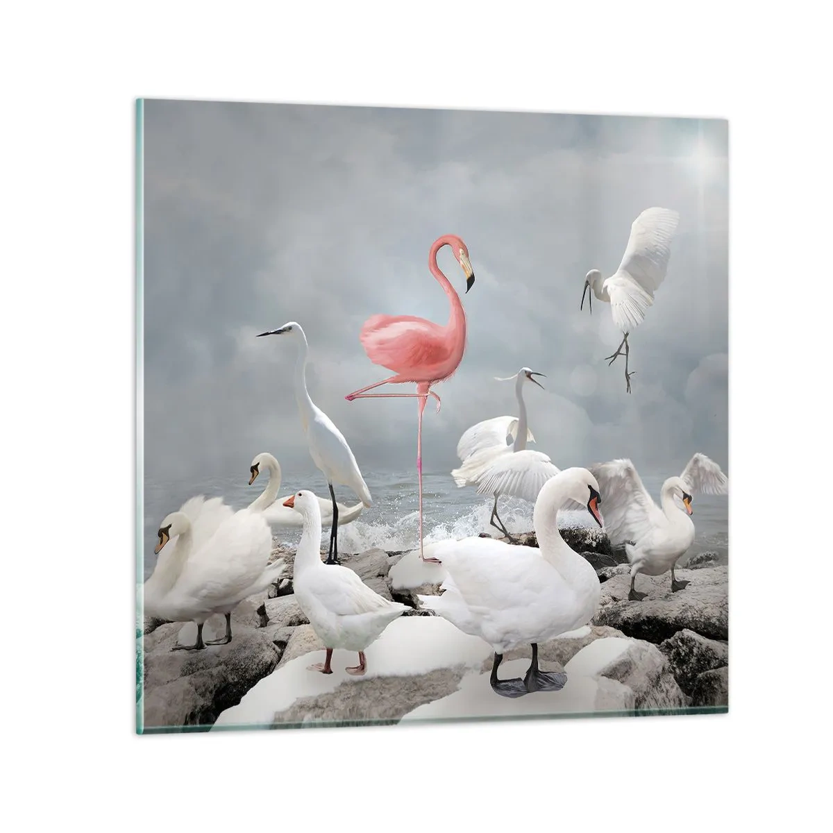 Billede på glas - Hvor kommer jeg fra? - 50x50 cm