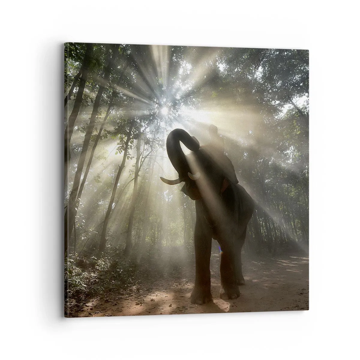 Lærredstryk - Billede på lærred - Under en lykkelig stjerne - 70x70 cm