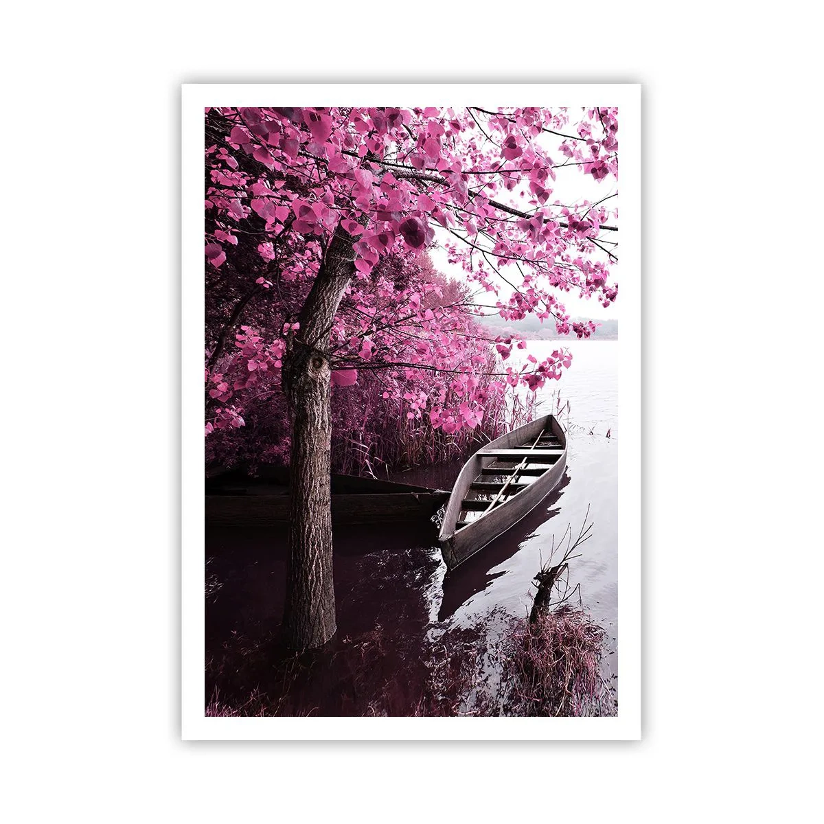 Plakat - I lyserød stilhed - 70x100 cm