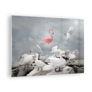 Billede på glas - En lyserød flamingo blandt hvide svaner og hejrer mod vandet - 70x50cm - Hvor kommer jeg fra? - Moderne vægdekoration til stue og soveværelse ARTTOR