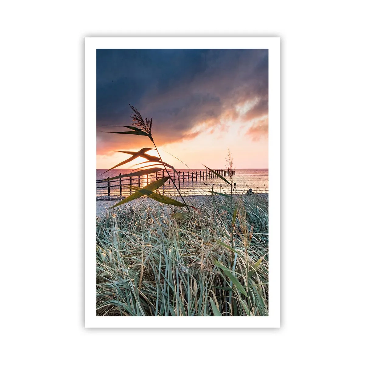 Plakat - Ikke passerer med vinden - 61x91 cm