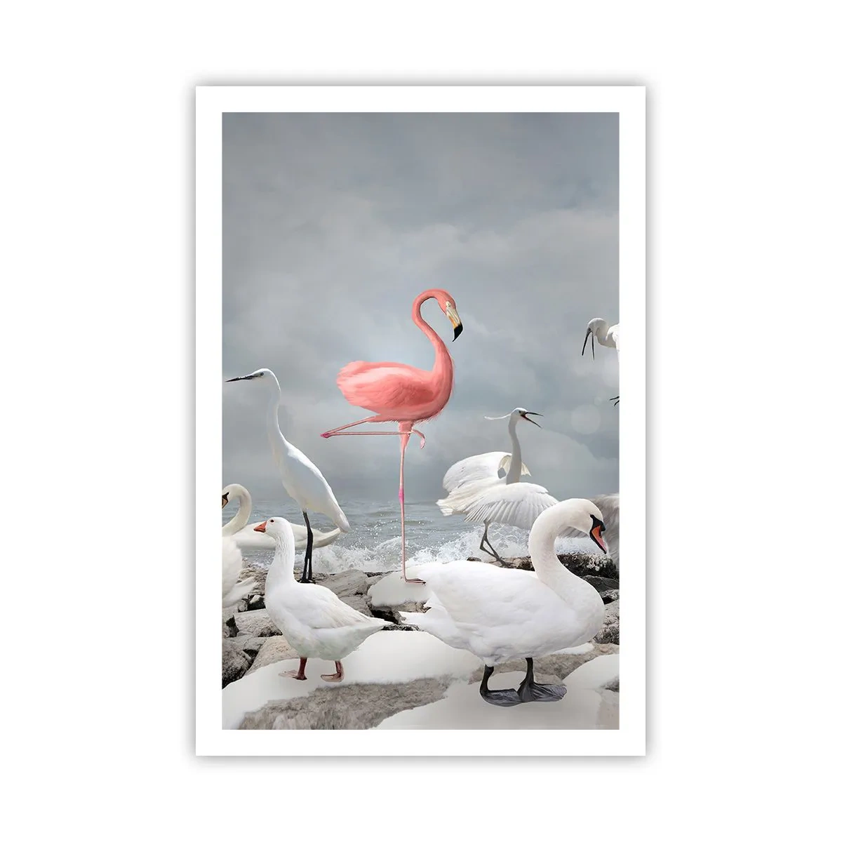 Plakat - Hvor kommer jeg fra? - 61x91 cm