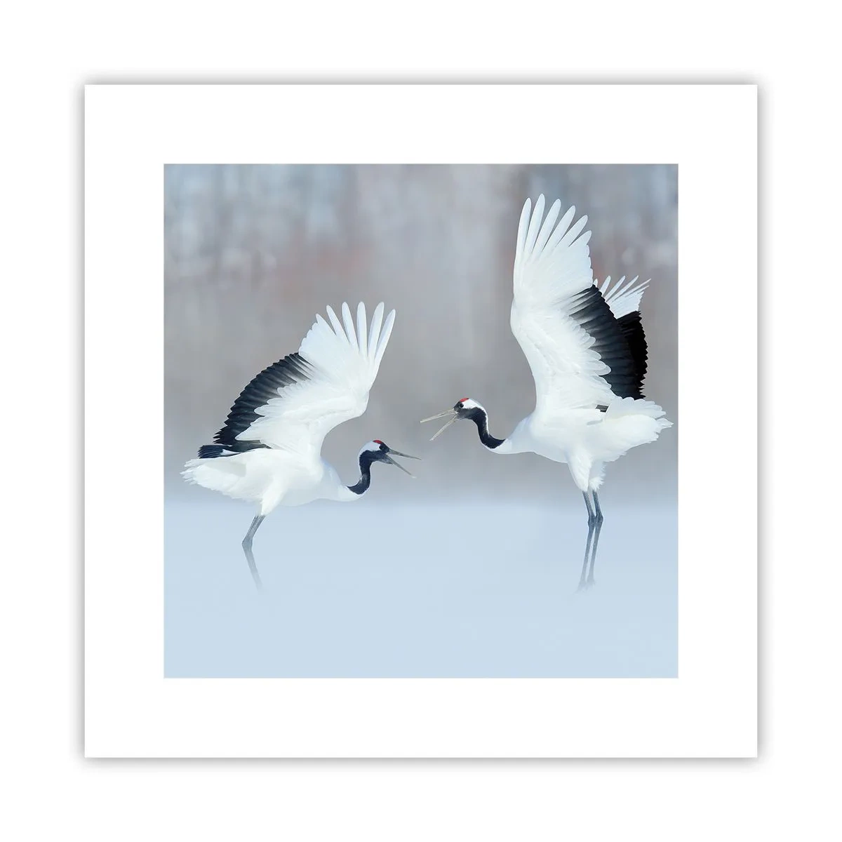 Plakat - Danser i tågen - 30x30 cm