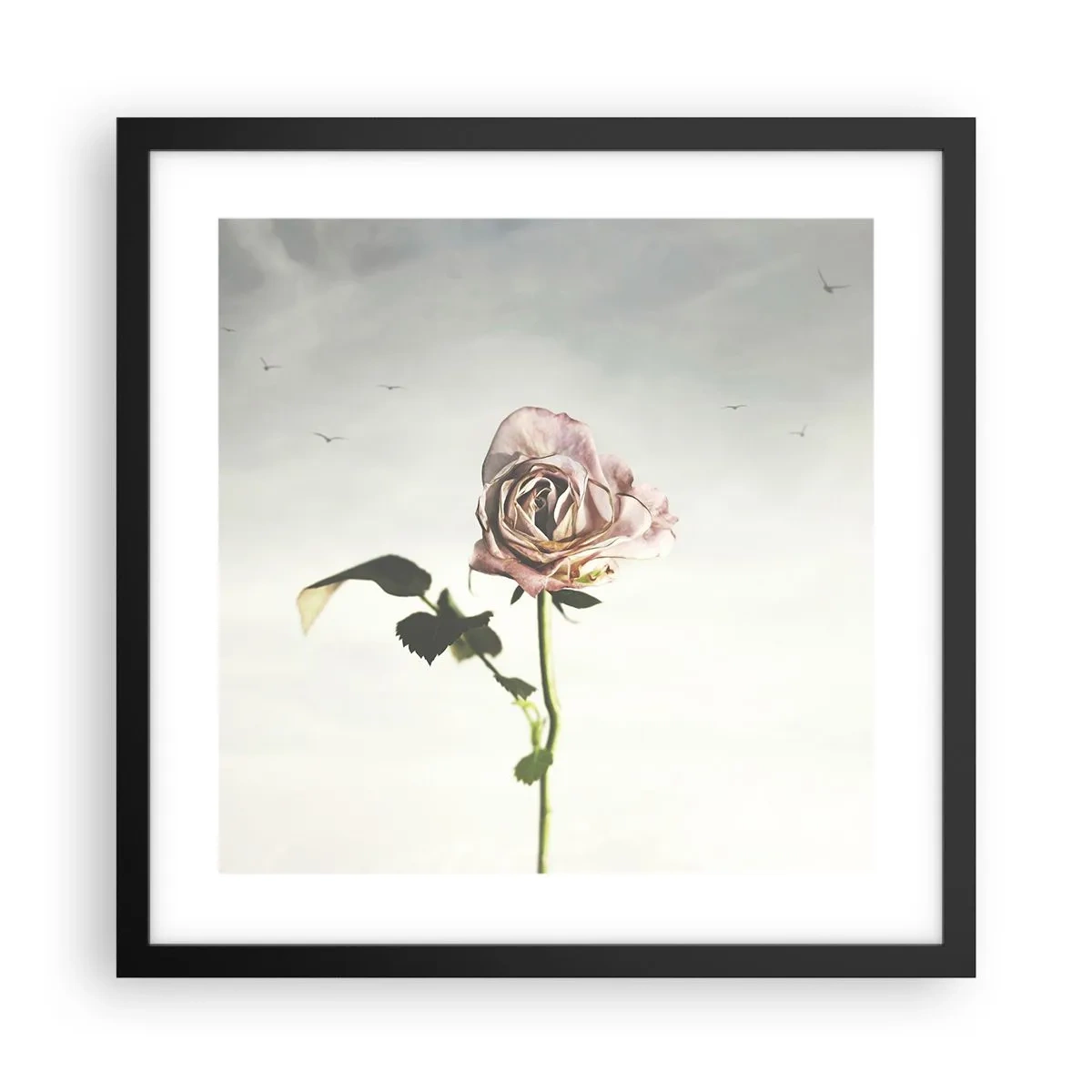 Plakat i sort ramme - Velkomst til foråret - 40x40 cm