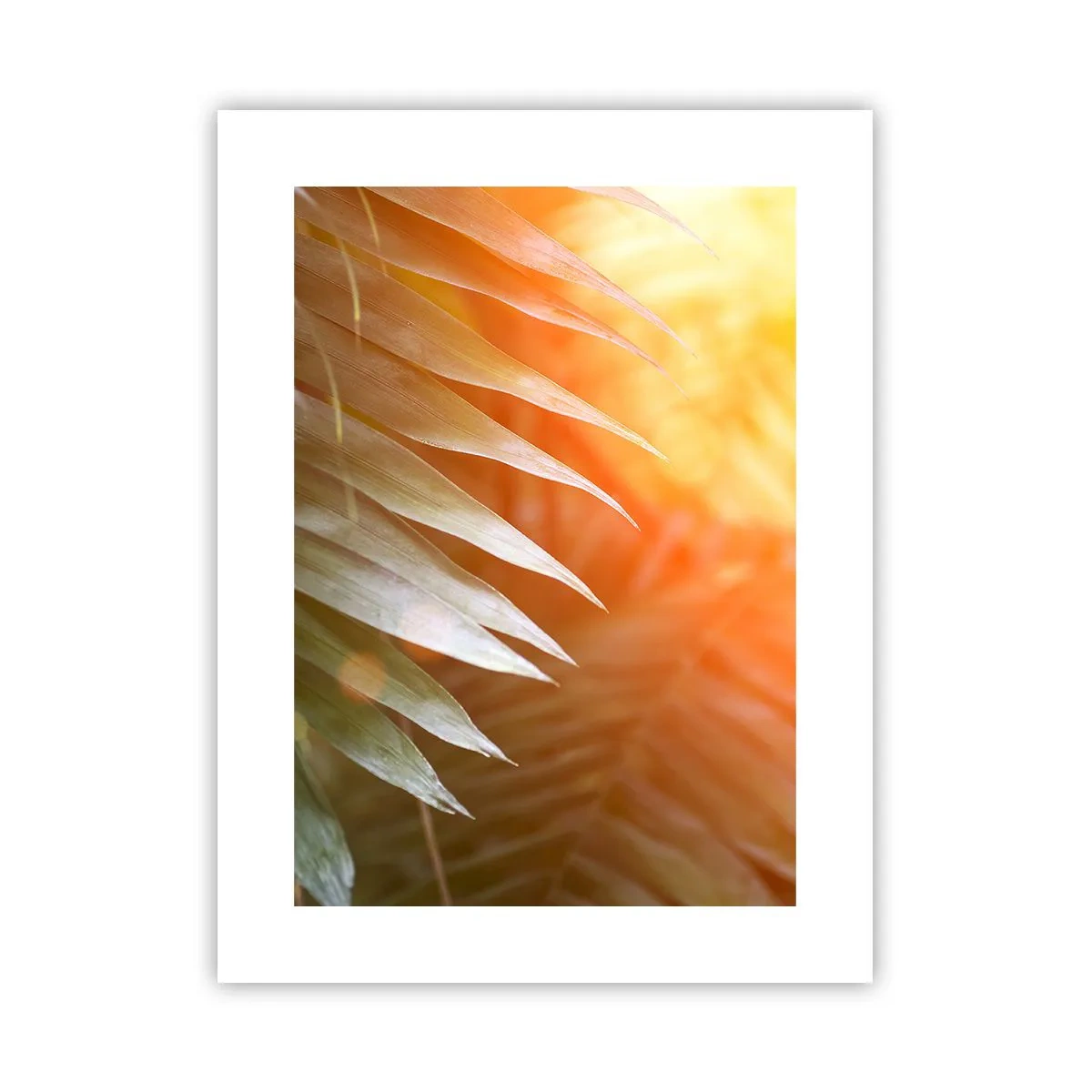 Plakat - Morgen i junglen - 30x40 cm