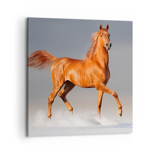 Lærredstryk - Billede på lærred - Dansende ynde - 60x60 cm