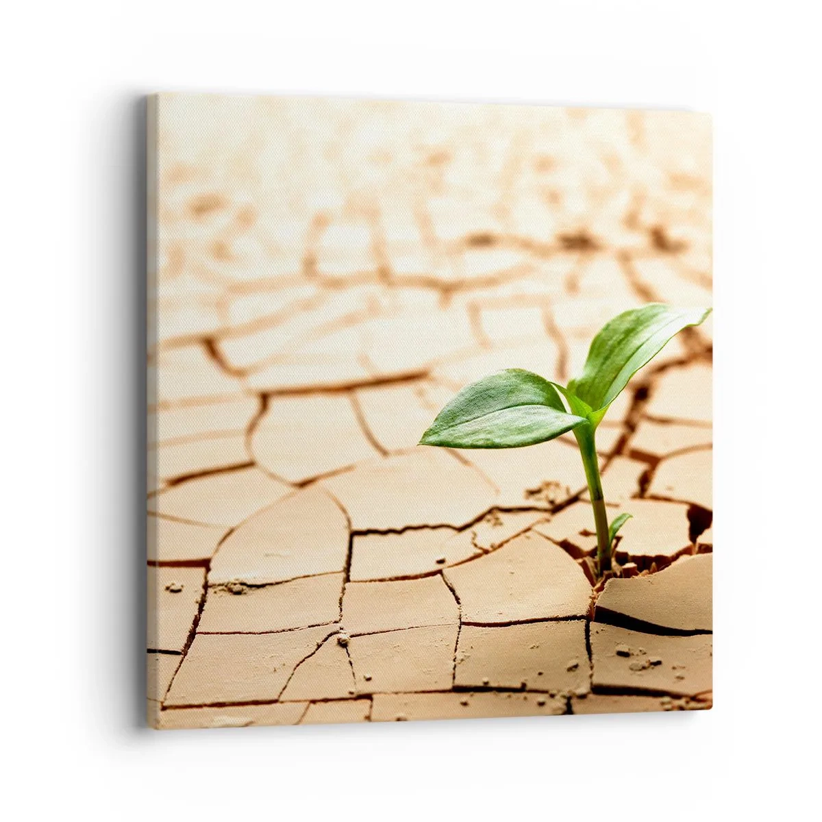 Lærredstryk - Billede på lærred - Den ukuelige livskraft - 40x40 cm