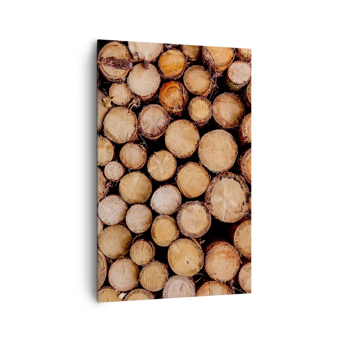 Lærredstryk - Billede på lærred - En ny begyndelse - 80x120 cm