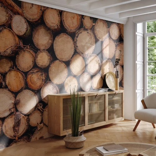 Fototapet Standard Eco - Arrangerede træstammer i tværsnit - 100x70cm - En ny begyndelse - Moderne vægdekoration til stue og soveværelse ARTTOR