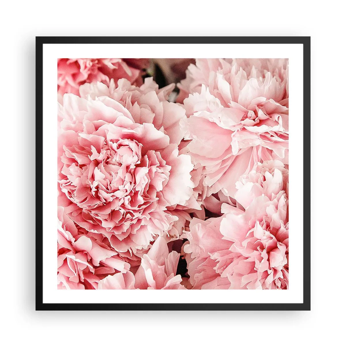 Plakat i sort ramme - Lyserød drøm - 60x60 cm