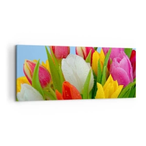 Lærredstryk - Billede på lærred - En blomstret regnbue i dugdråber - 120x50 cm